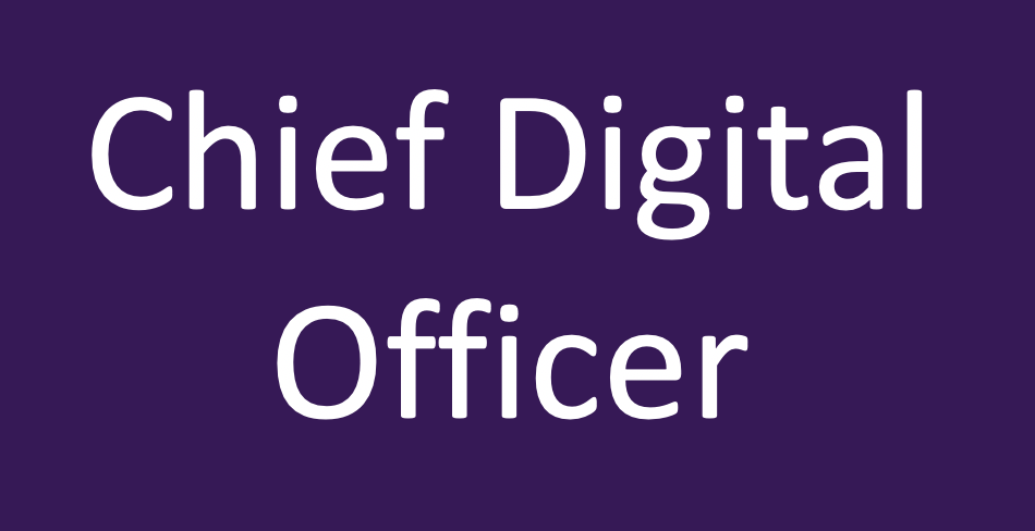 Chief Digital Officers